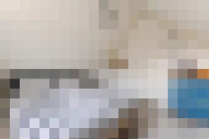 Oorsprongweg 8 0002 Schoorl thumbnail 22