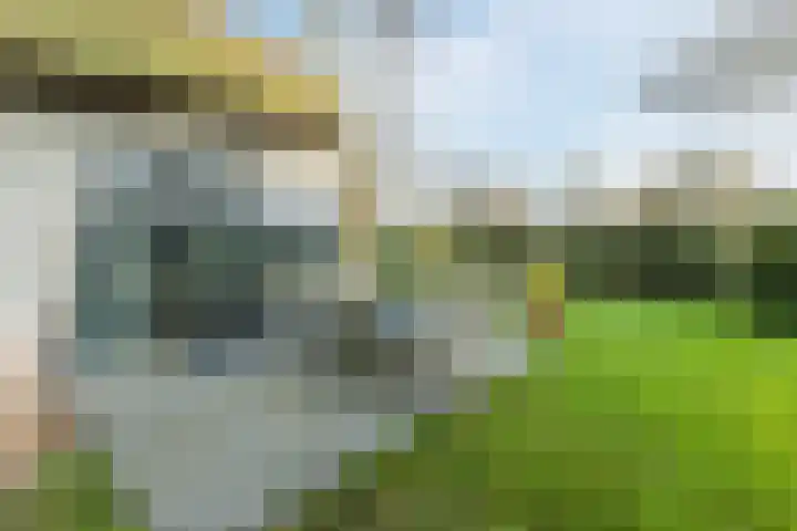 Oorsprongweg 8 0002 Schoorl thumbnail 25