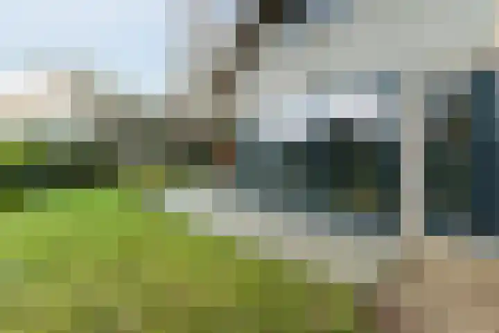 Oorsprongweg 8 0002 Schoorl thumbnail 26