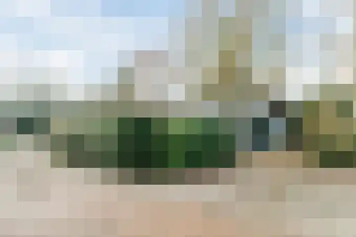 Oorsprongweg 8 0002 Schoorl thumbnail 27