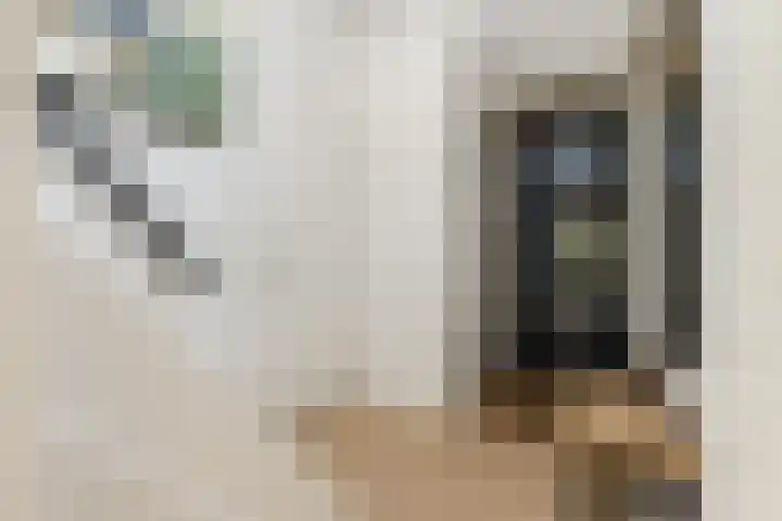 Oorsprongweg 8 0002 Schoorl thumbnail 6
