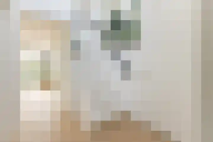 Oorsprongweg 8 0002 Schoorl thumbnail 7