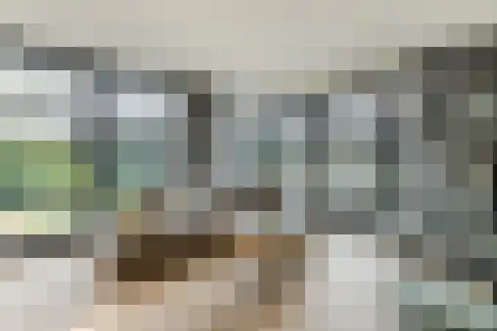 Oorsprongweg 8 0002 Schoorl thumbnail 8