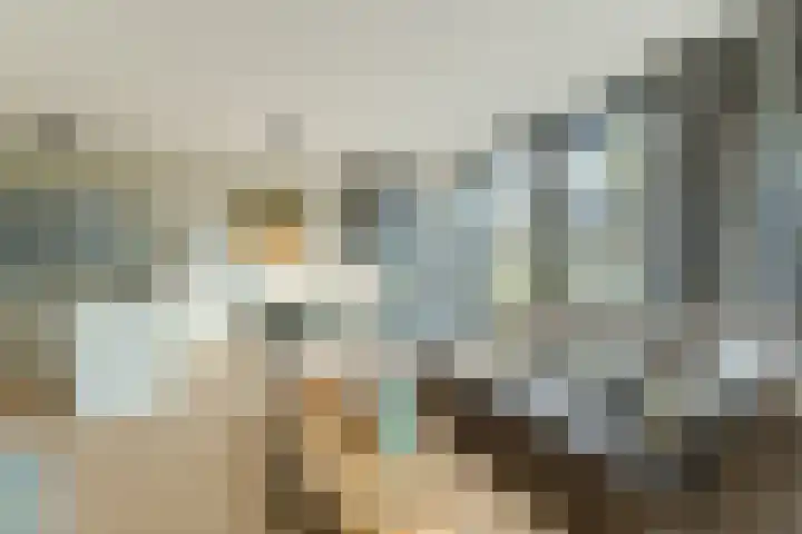 Oorsprongweg 8 0002 Schoorl thumbnail 9