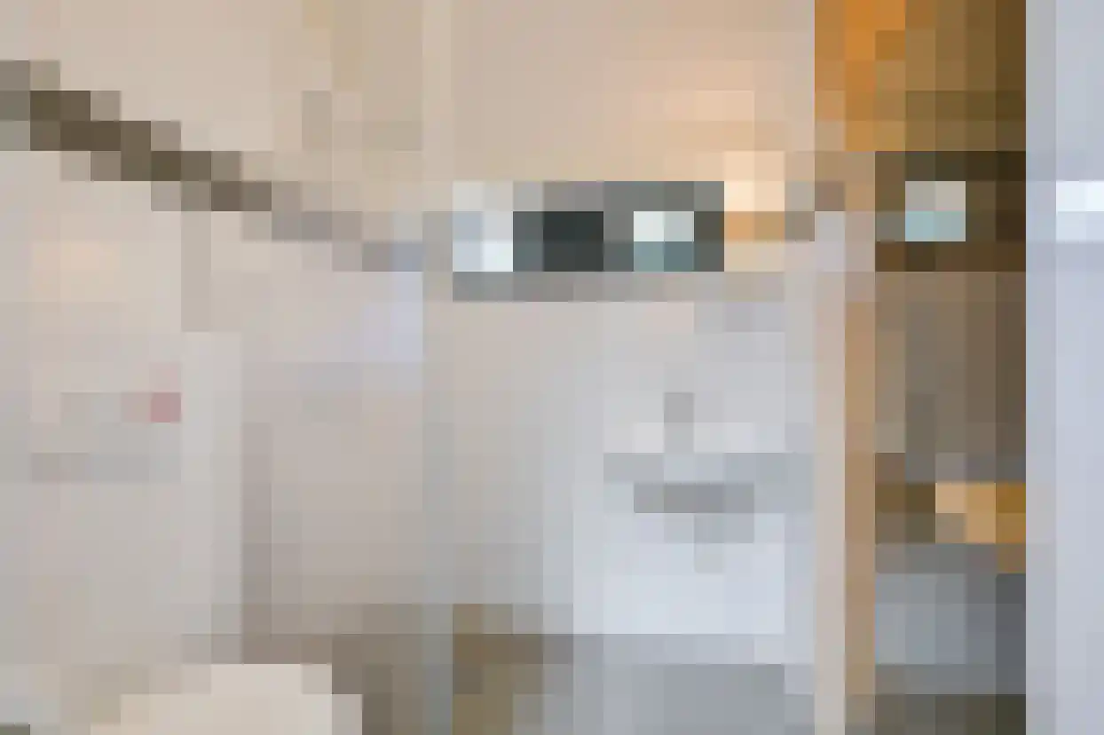 Oorsprongweg 8 0010 Schoorl thumbnail 15