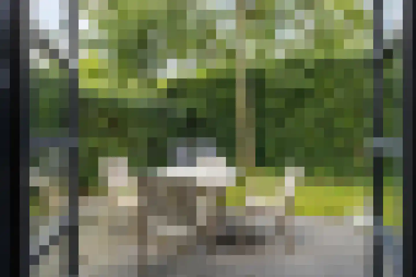 Oorsprongweg 8 0010 Schoorl thumbnail 22