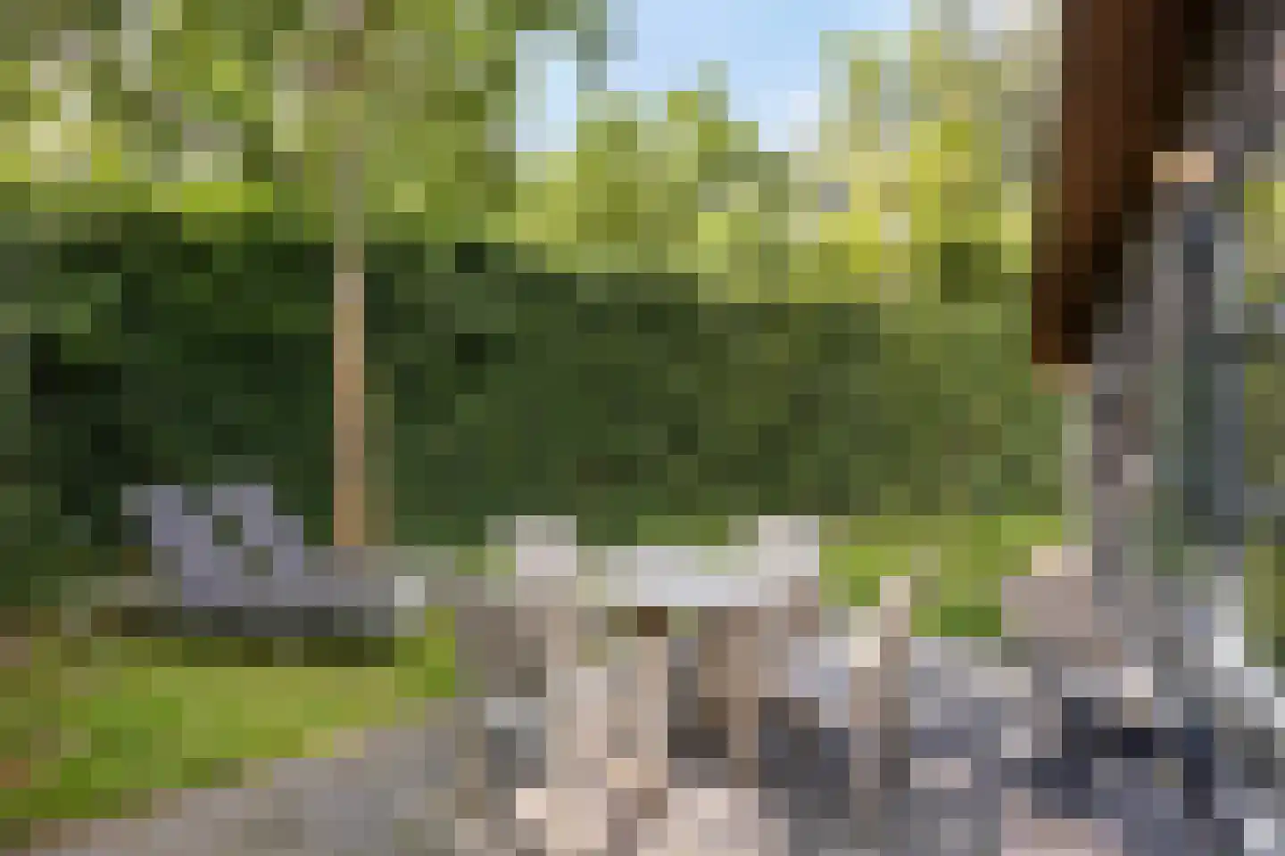 Oorsprongweg 8 0010 Schoorl thumbnail 23