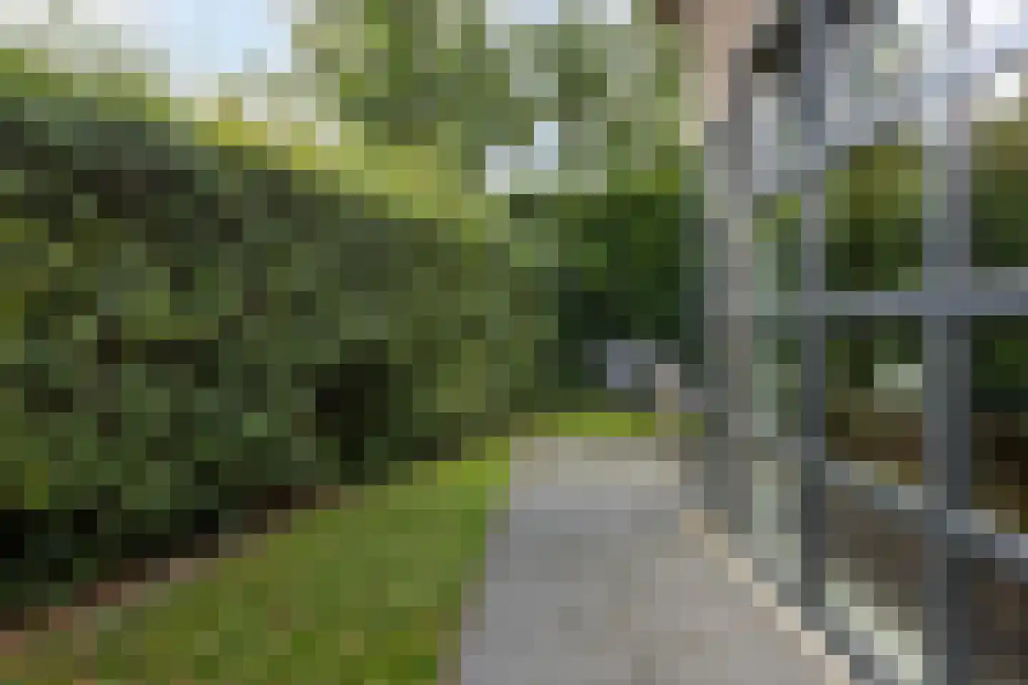 Oorsprongweg 8 0010 Schoorl thumbnail 25