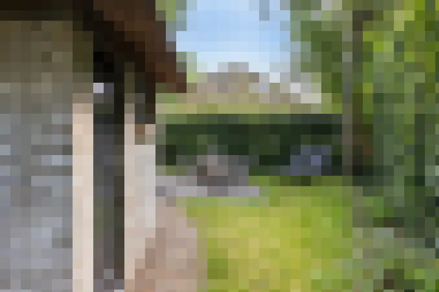 Oorsprongweg 8 0010 Schoorl thumbnail 26