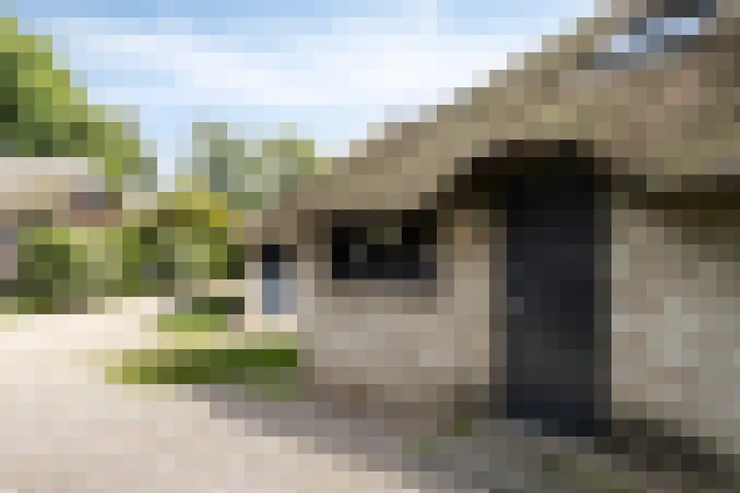 Oorsprongweg 8 0010 Schoorl thumbnail 28