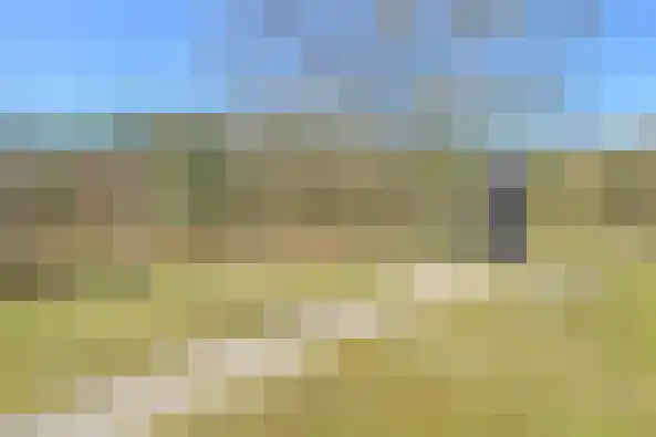 Oorsprongweg 8 0010 Schoorl thumbnail 31