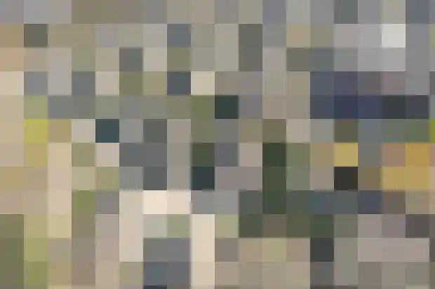 Oorsprongweg 8 0010 Schoorl thumbnail 33