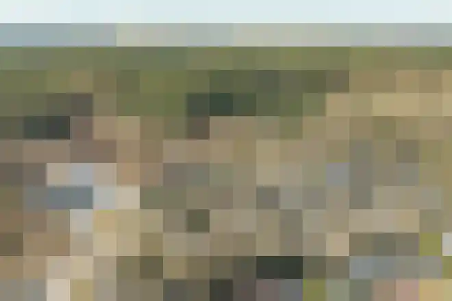 Oorsprongweg 8 0010 Schoorl thumbnail 35