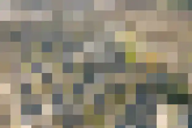 Oorsprongweg 8 0010 Schoorl thumbnail 4
