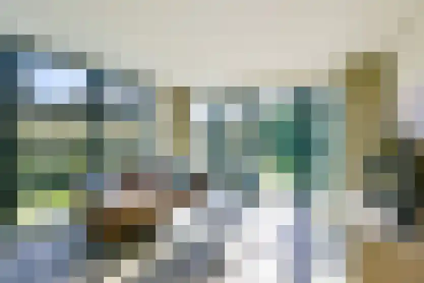 Oorsprongweg 8 0010 Schoorl thumbnail 6
