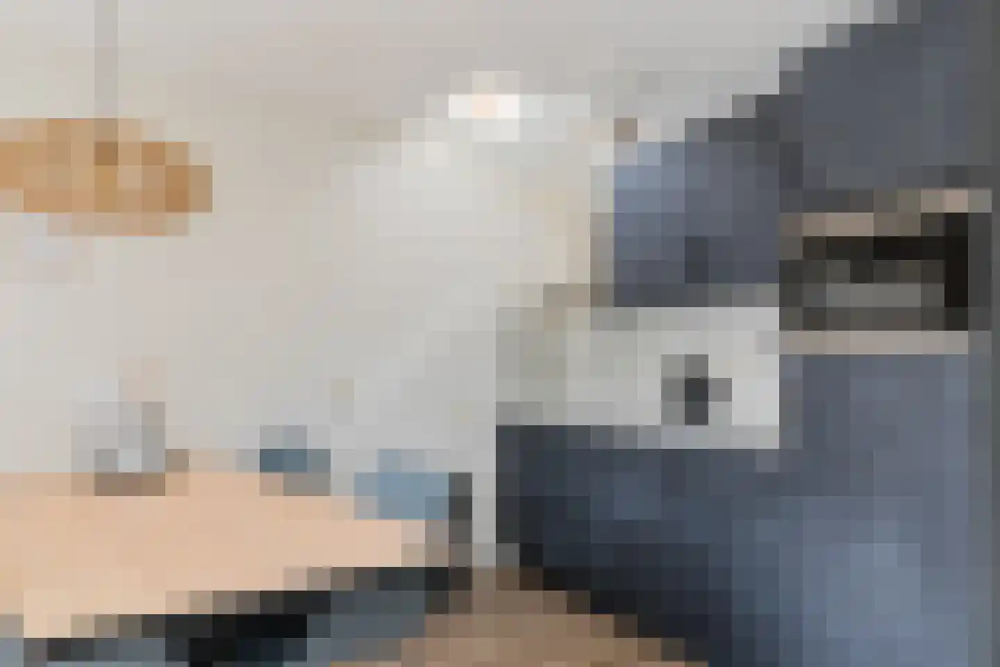 Oorsprongweg 8 0013 Schoorl thumbnail 12