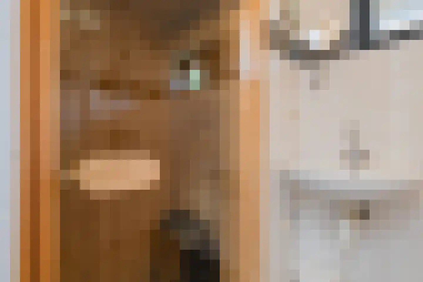 Oorsprongweg 8 0013 Schoorl thumbnail 17
