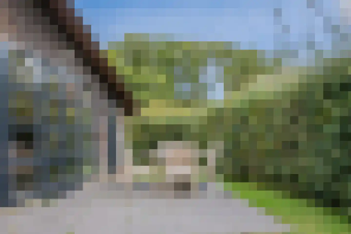 Oorsprongweg 8 0013 Schoorl thumbnail 23