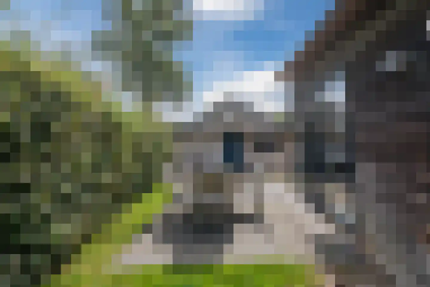 Oorsprongweg 8 0013 Schoorl thumbnail 24
