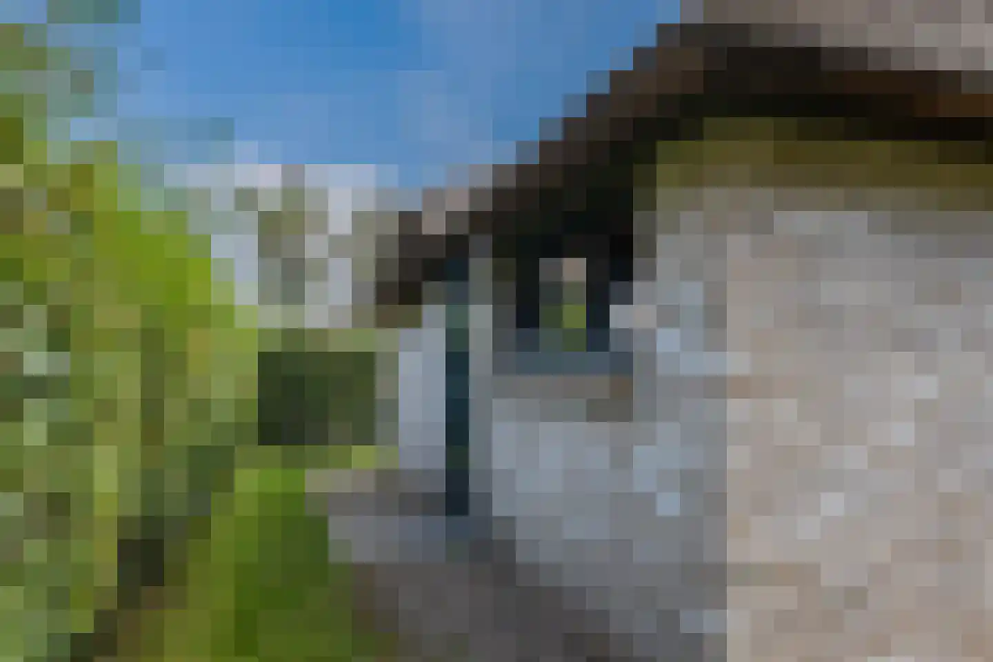 Oorsprongweg 8 0013 Schoorl thumbnail 25