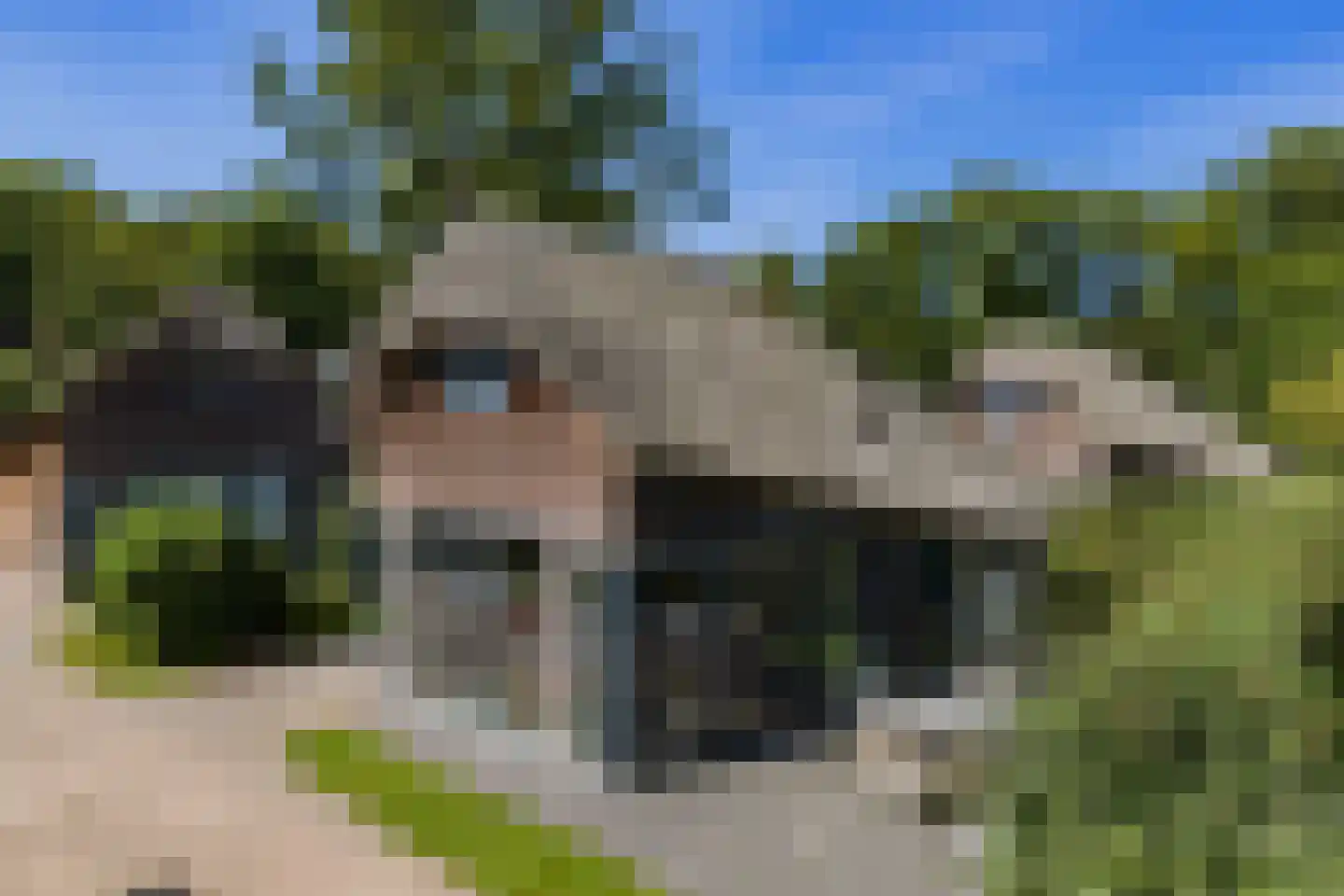 Oorsprongweg 8 0013 Schoorl thumbnail 27