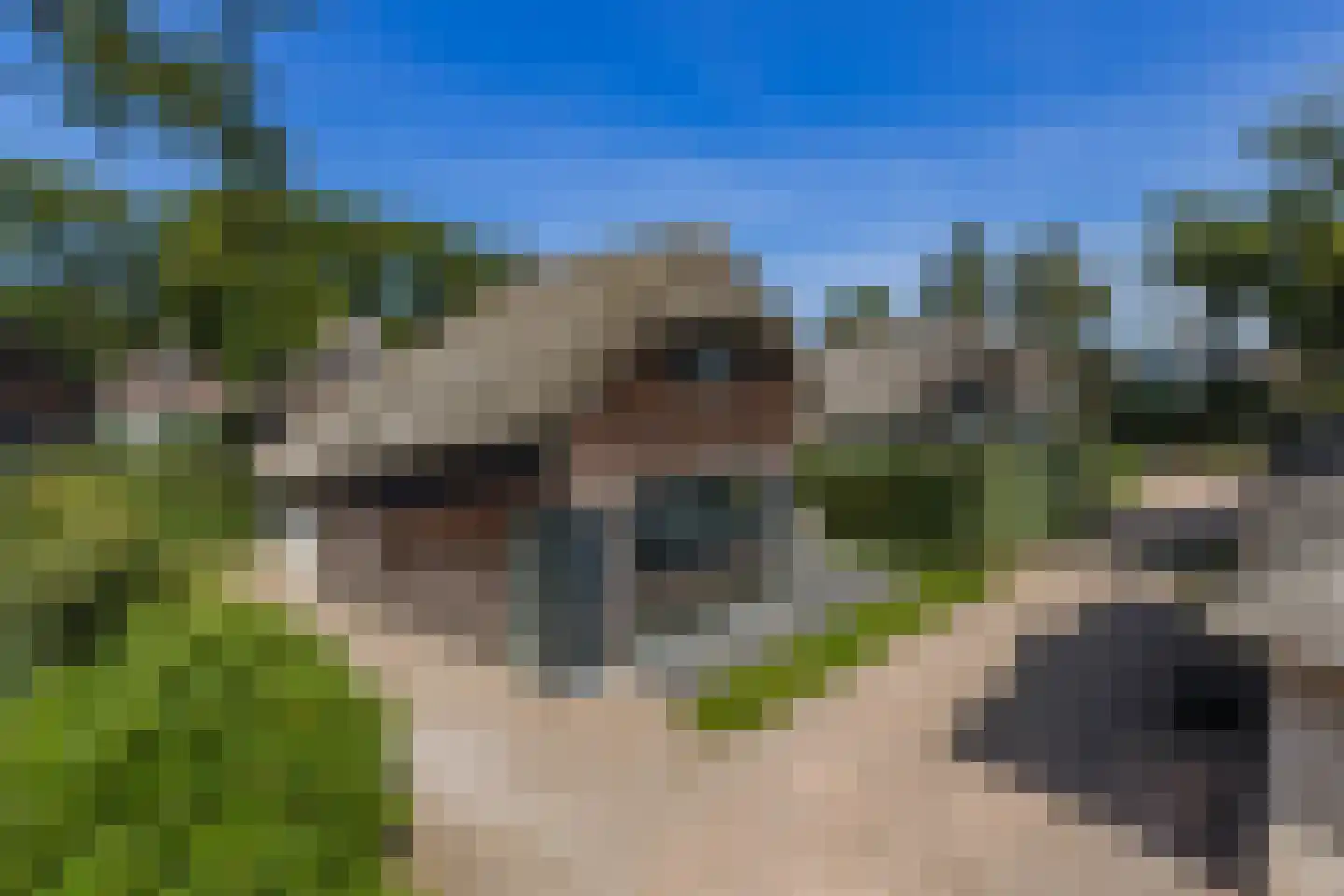 Oorsprongweg 8 0013 Schoorl thumbnail 28