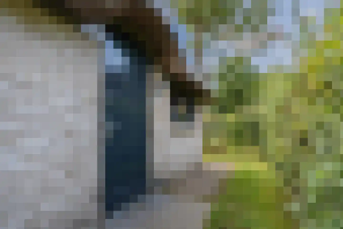 Oorsprongweg 8 0013 Schoorl thumbnail 7