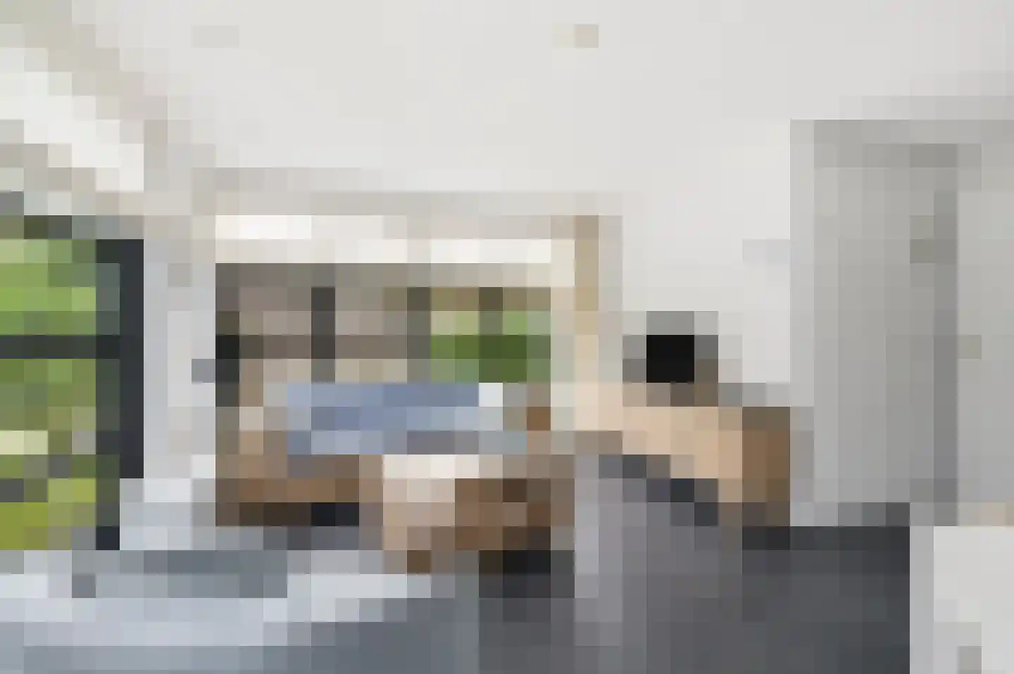Oorsprongweg 8 0030 Schoorl thumbnail 4