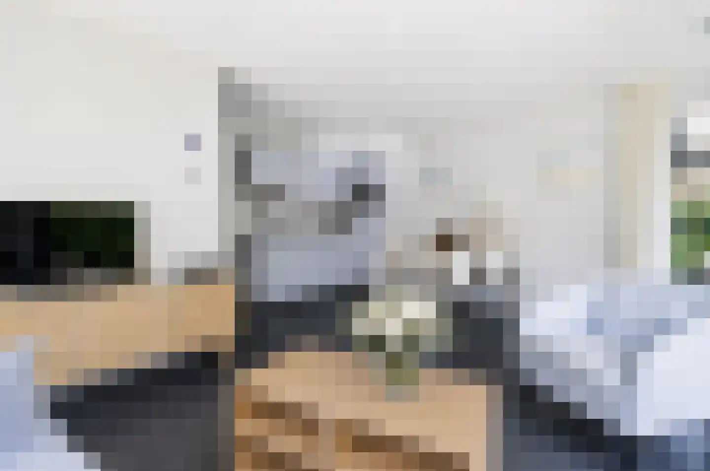 Oorsprongweg 8 0030 Schoorl thumbnail 5