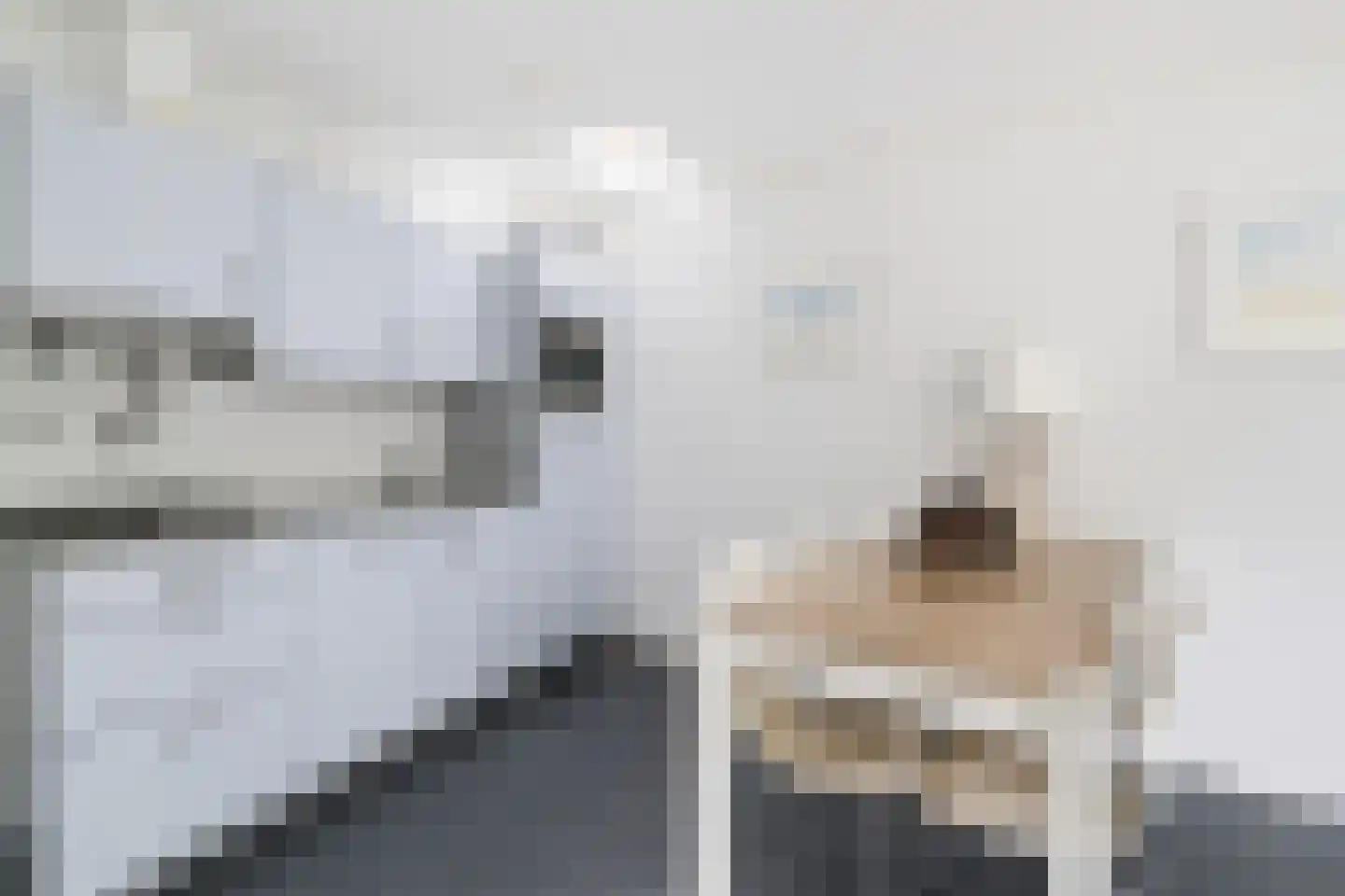 Oorsprongweg 8 0030 Schoorl thumbnail 7