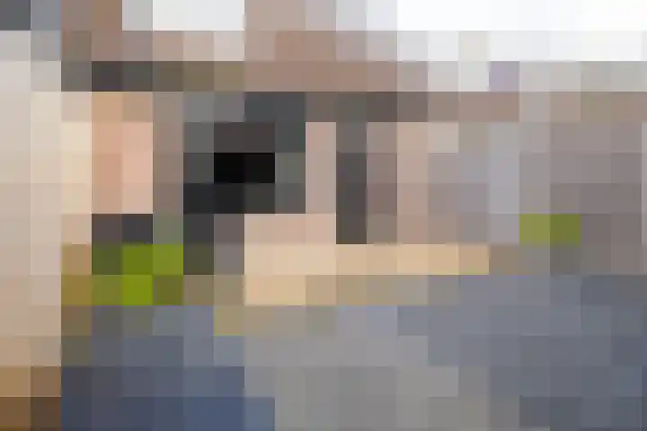 Oorthuishoek 45 Enschede thumbnail 23