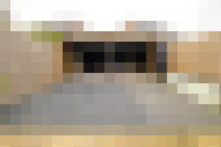 Oorthuishoek 45 Enschede thumbnail 24