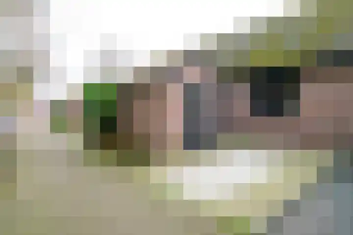 Oorthuishoek 45 Enschede thumbnail 31