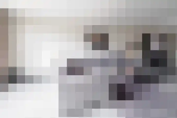 Oorthuishoek 45 Enschede thumbnail 7