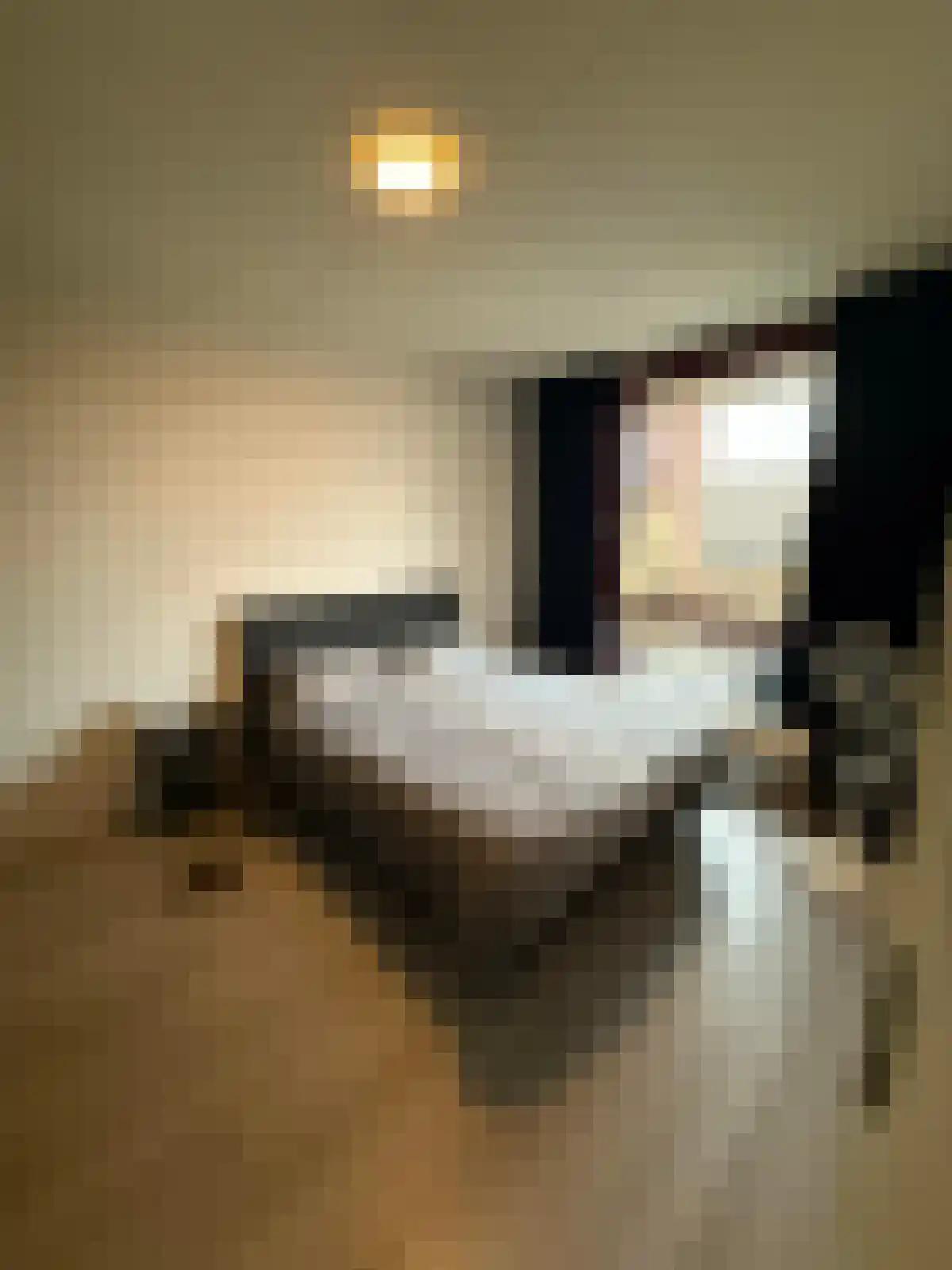 Oortjesburg 52 Nieuwegein thumbnail 5