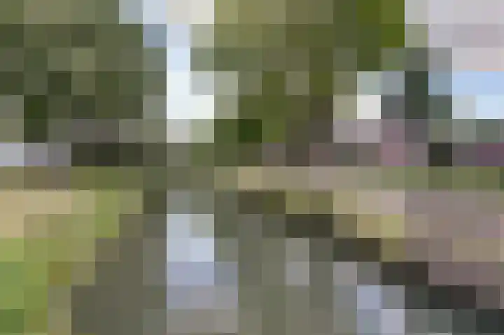Oortjesburg 78 Nieuwegein thumbnail 24