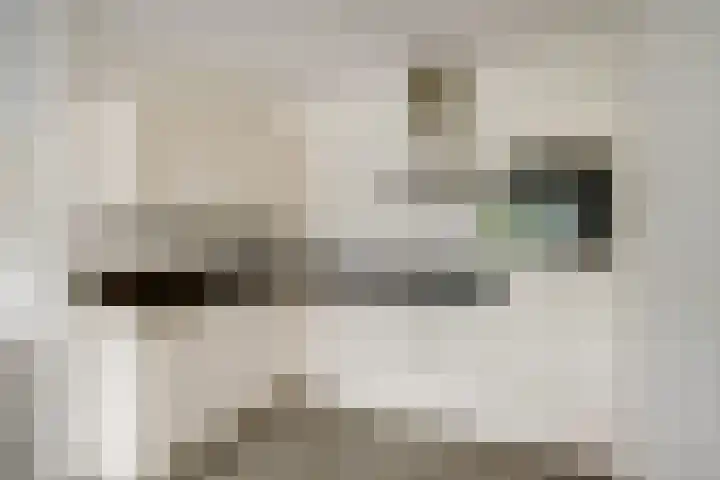 Oortjesburg 8 Nieuwegein thumbnail 10