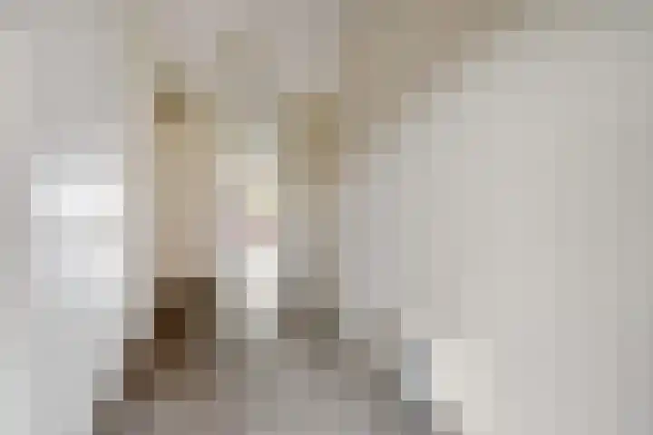Oortjesburg 8 Nieuwegein thumbnail 21