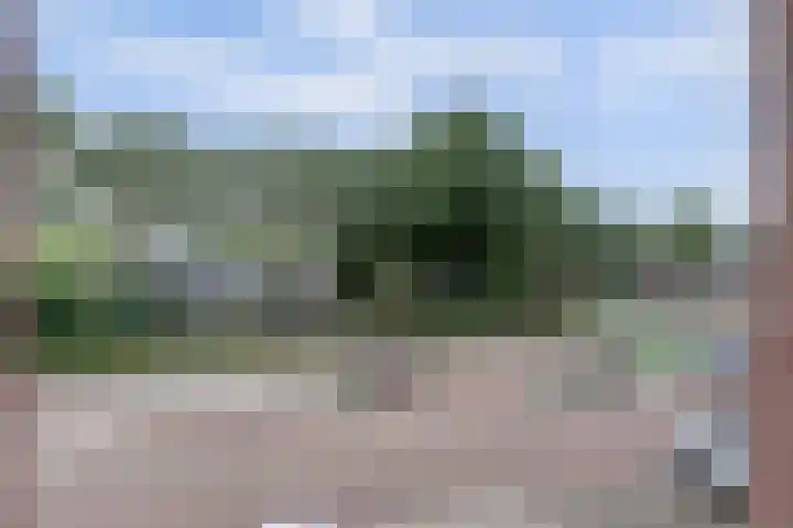 Oortjesburg 8 Nieuwegein thumbnail 34