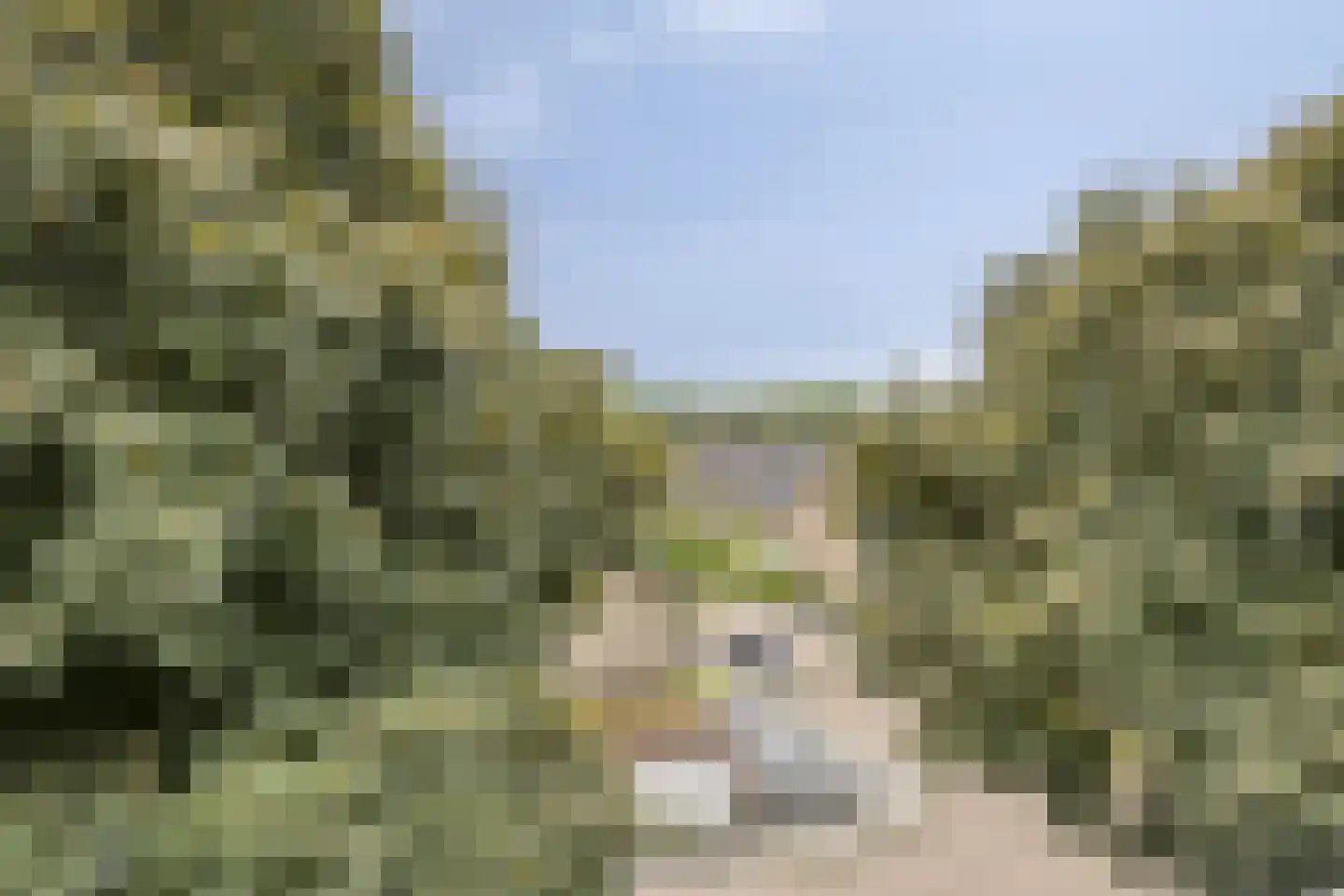 Oortlaan 130 Veldhoven thumbnail 22