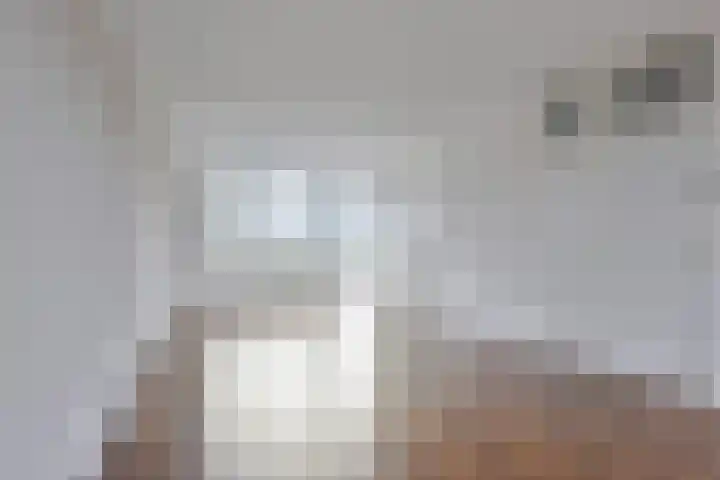 Oortlaan 132 Veldhoven thumbnail 4