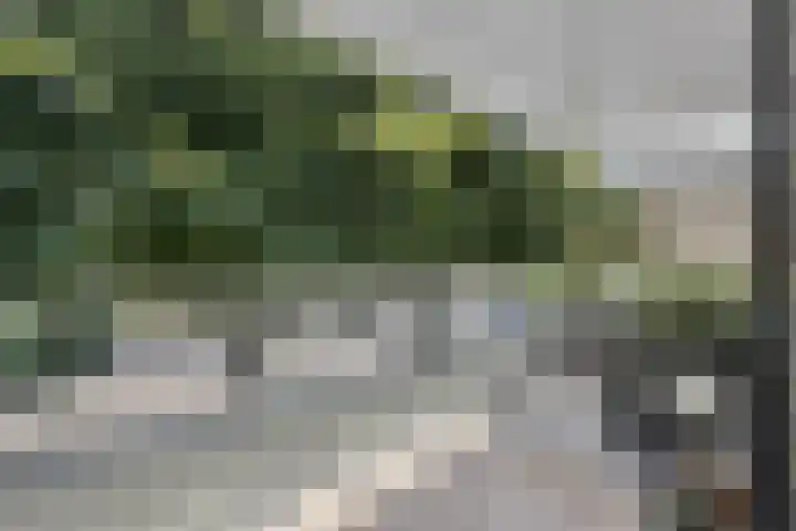 Oortlaan 140 Veldhoven thumbnail 14