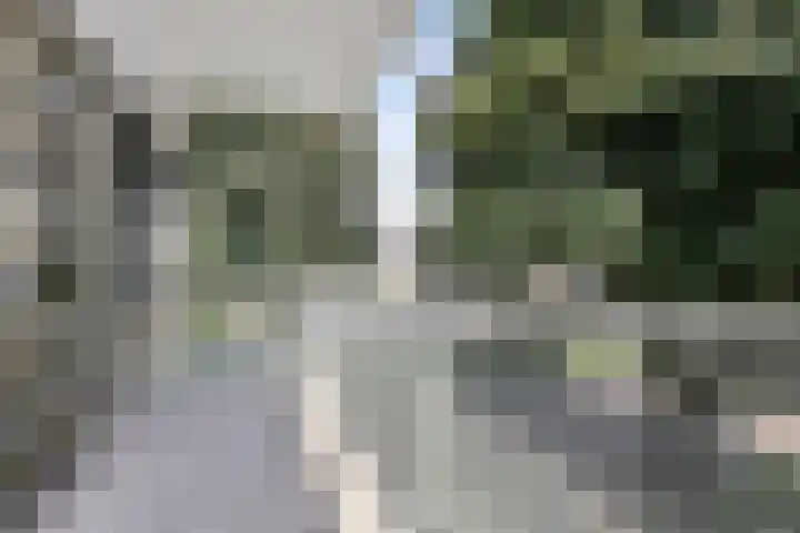 Oortlaan 140 Veldhoven thumbnail 15