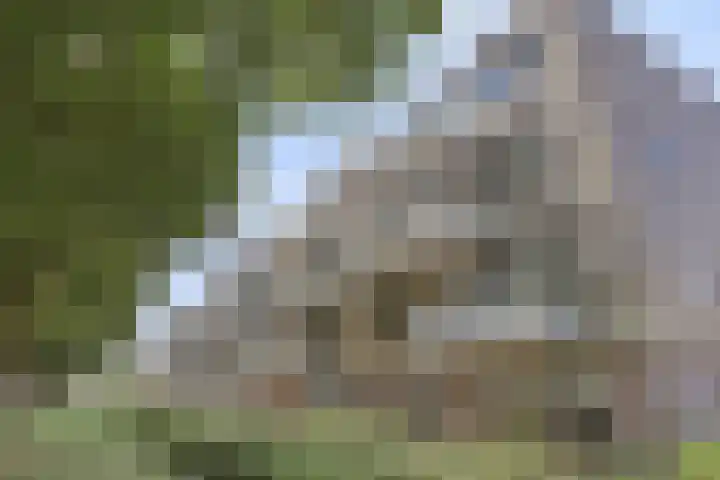 Oortlaan 140 Veldhoven thumbnail 21