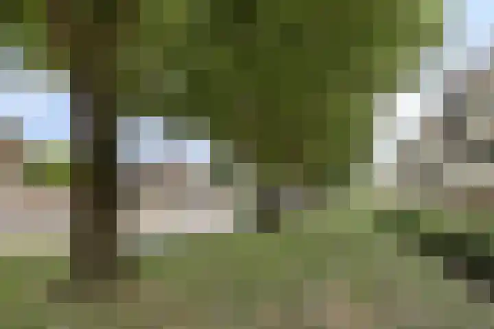 Oortlaan 140 Veldhoven thumbnail 22