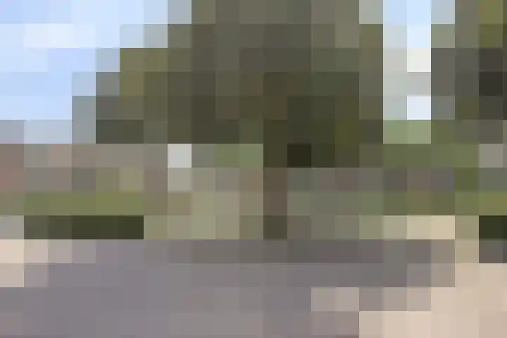 Oortlaan 140 Veldhoven thumbnail 23