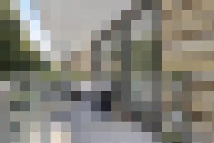 Oortlaan 140 Veldhoven thumbnail 6