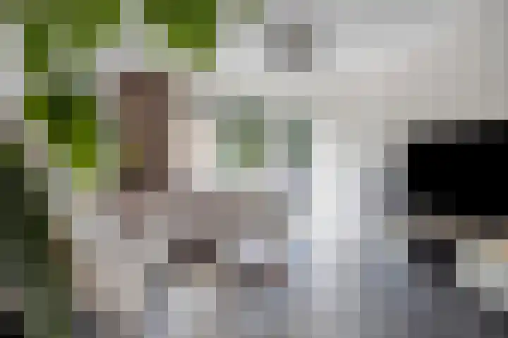 Oortlaan 144 Veldhoven thumbnail 18