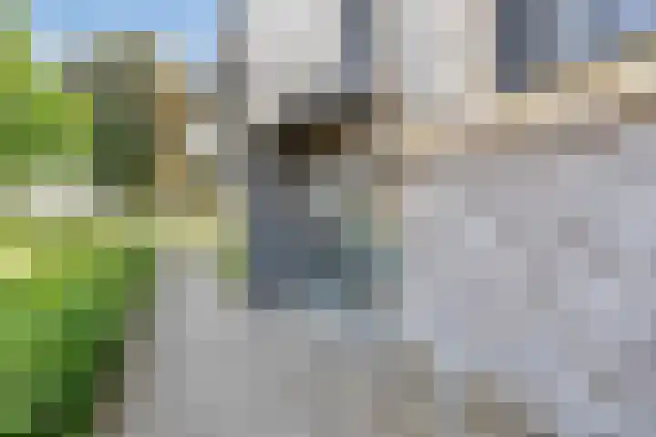 Oortlaan 144 Veldhoven thumbnail 5