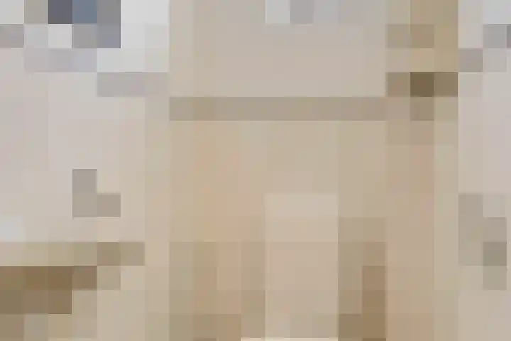 Oortlaan 22 Bemmel thumbnail 12